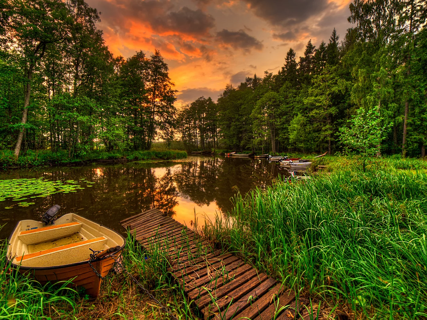 reflection, landscape, water, view, sky, lake, sunset, forest, пейзаж, scenery, grass, natura