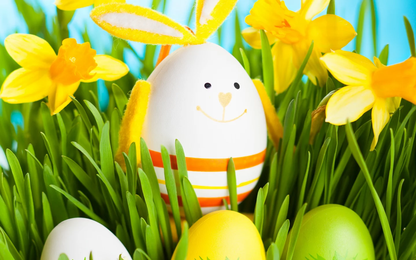flowers, весна, spring, daffodils, пасха, bunny, easter, grass, eggs, кролик
