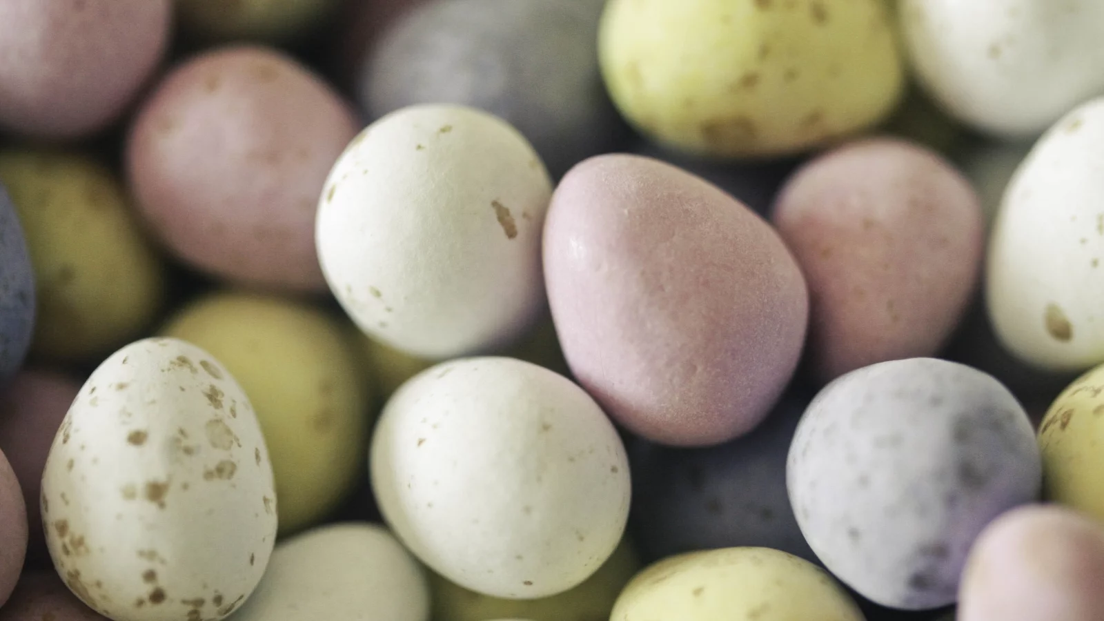 яйца, пасха, happy easter