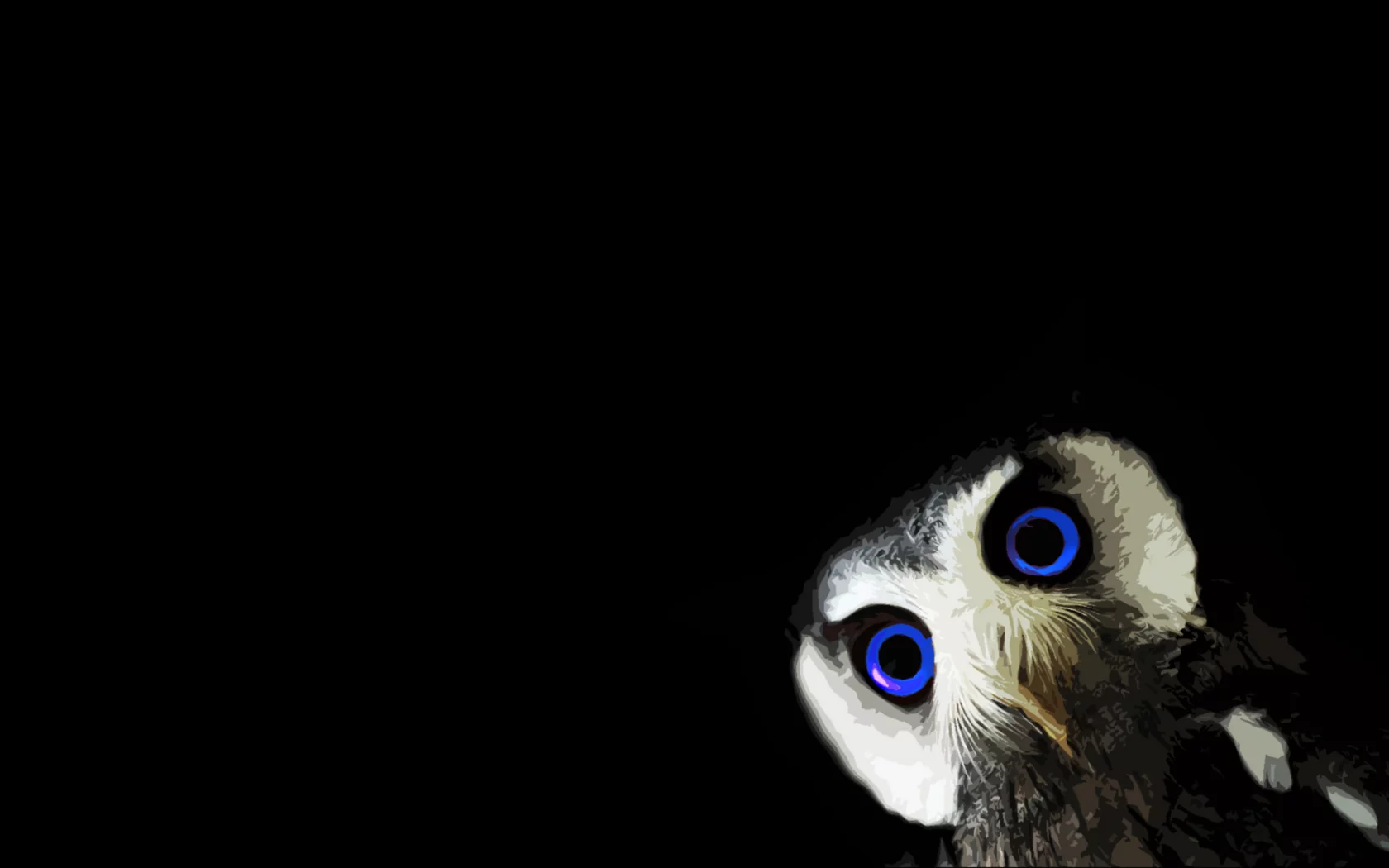 blue eyes, owl, minimalism, black, black background, animals