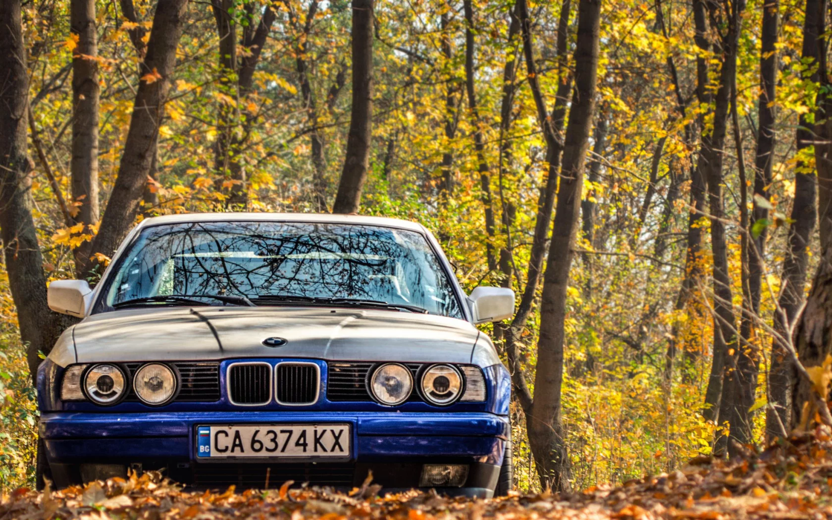 осень, e34, бмв, bmw, тюнинг, 525, классика, листья, фары