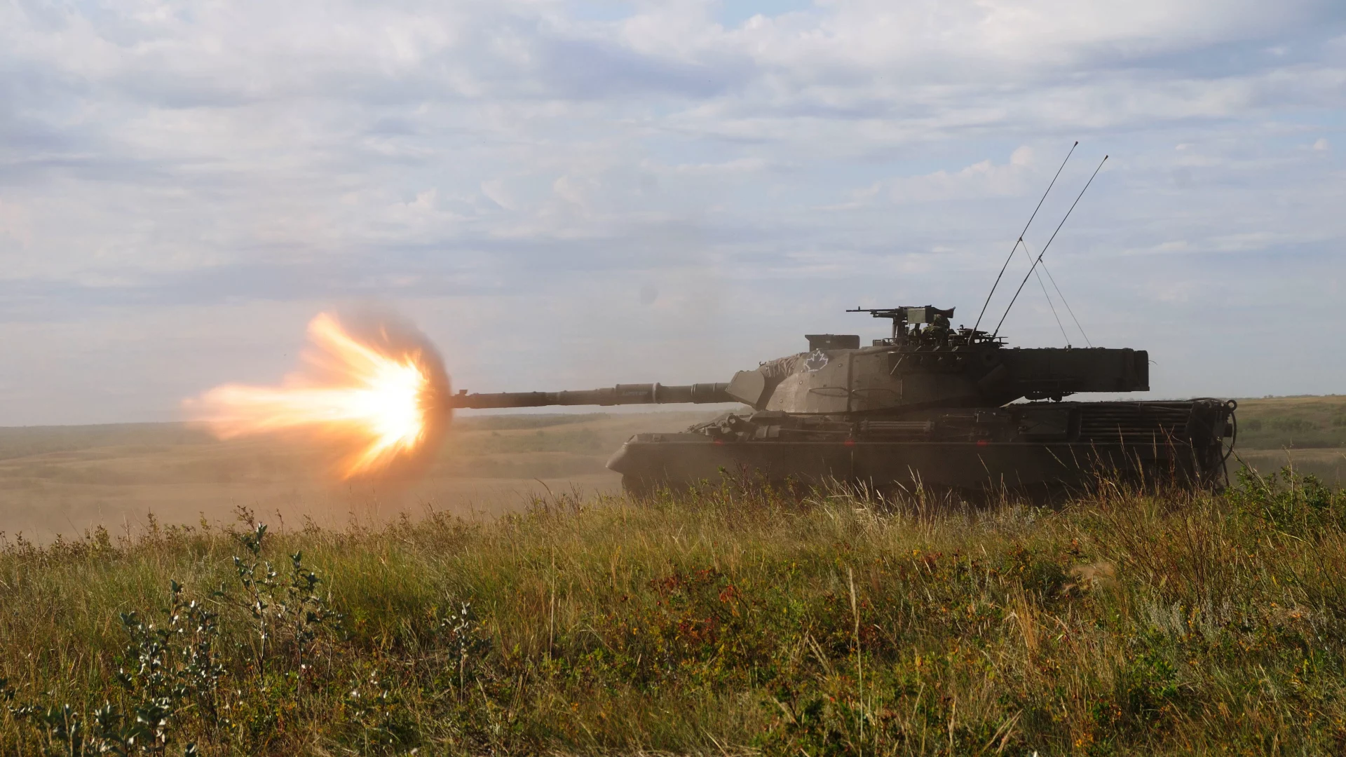канадский, трава, боевой, огонь, leopard-c2, танк