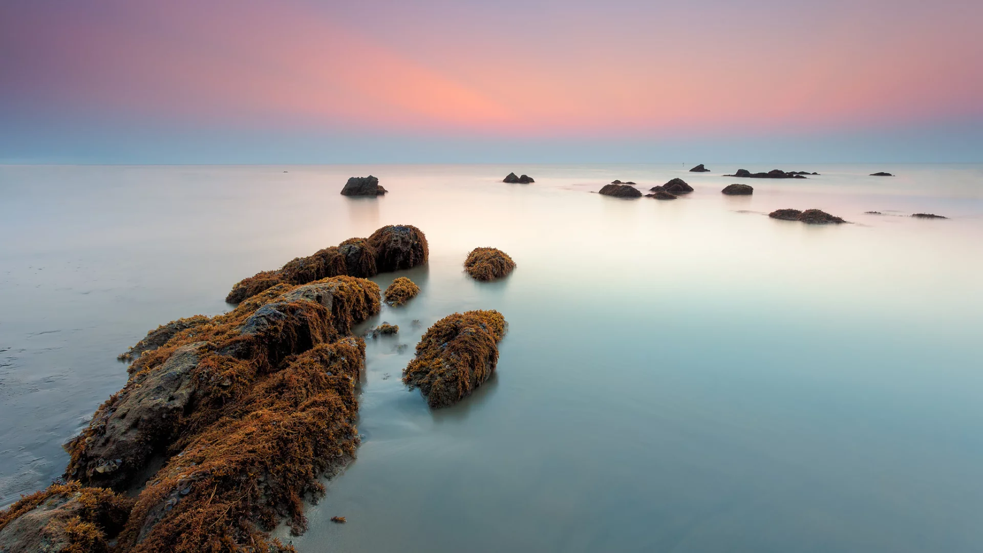 камни, водоросли, утро, море, рассвет
