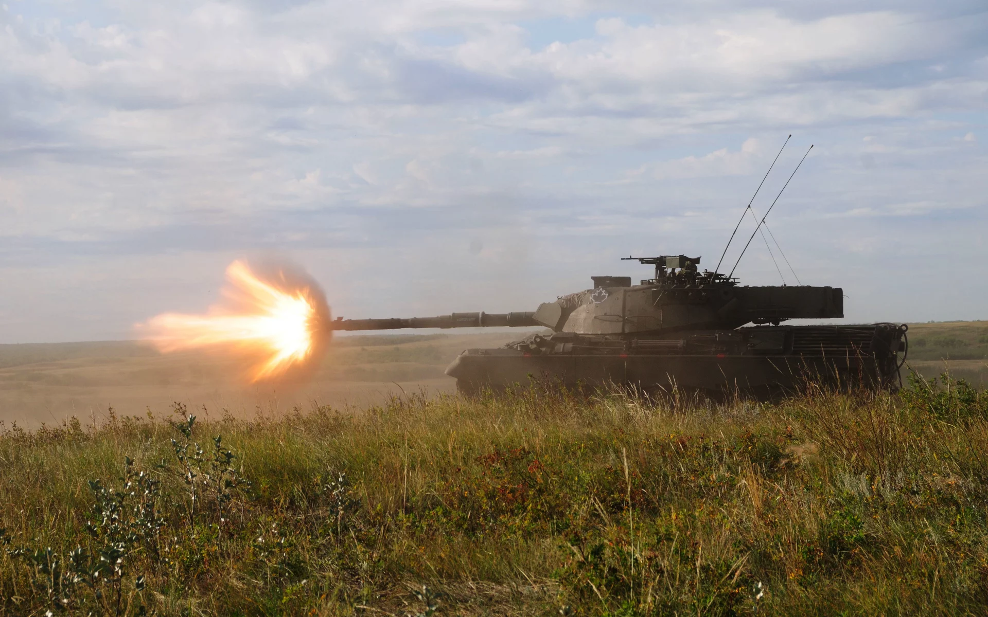 канадский, трава, боевой, огонь, leopard-c2, танк