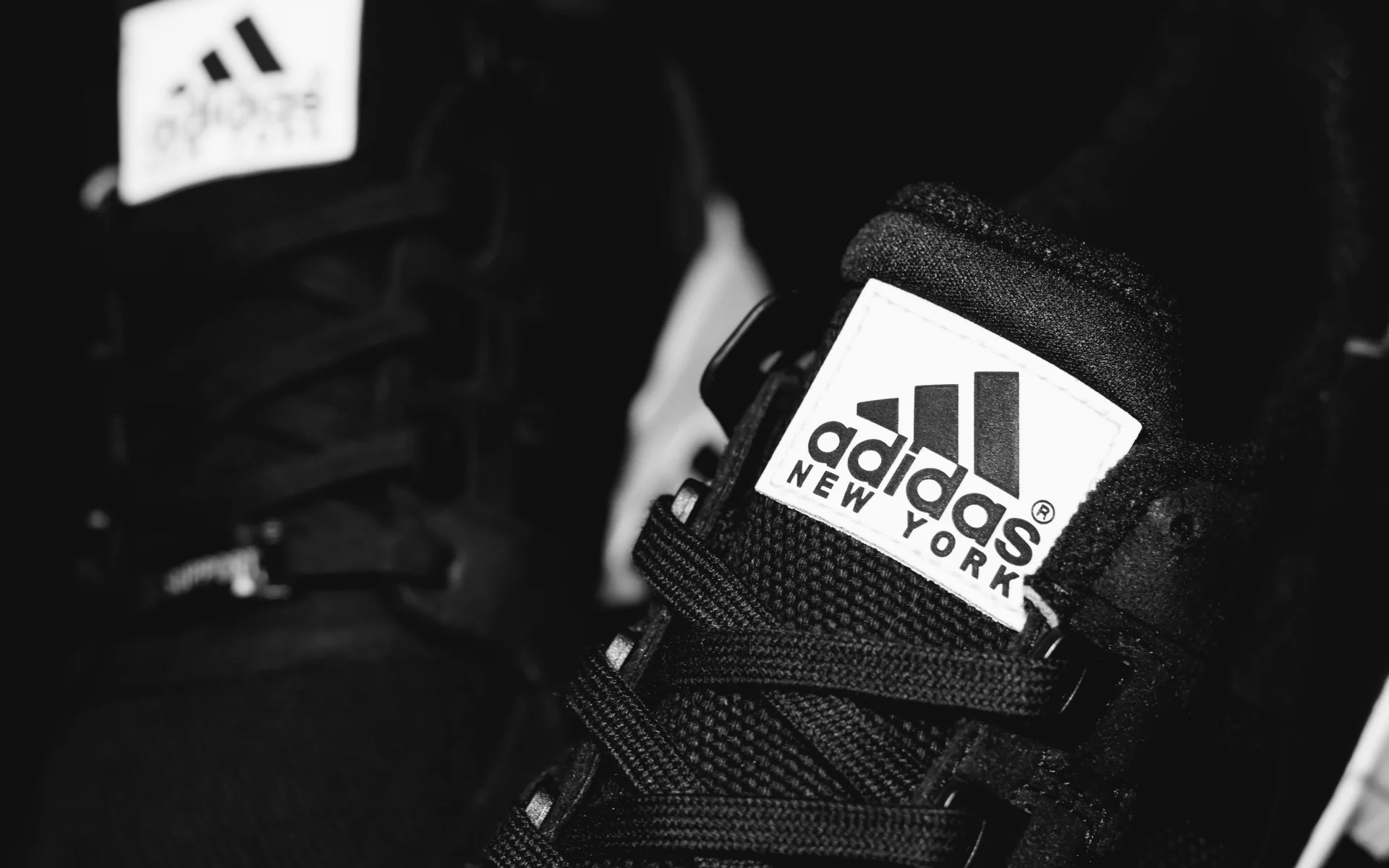 eqt, adidas, шнурки, new york