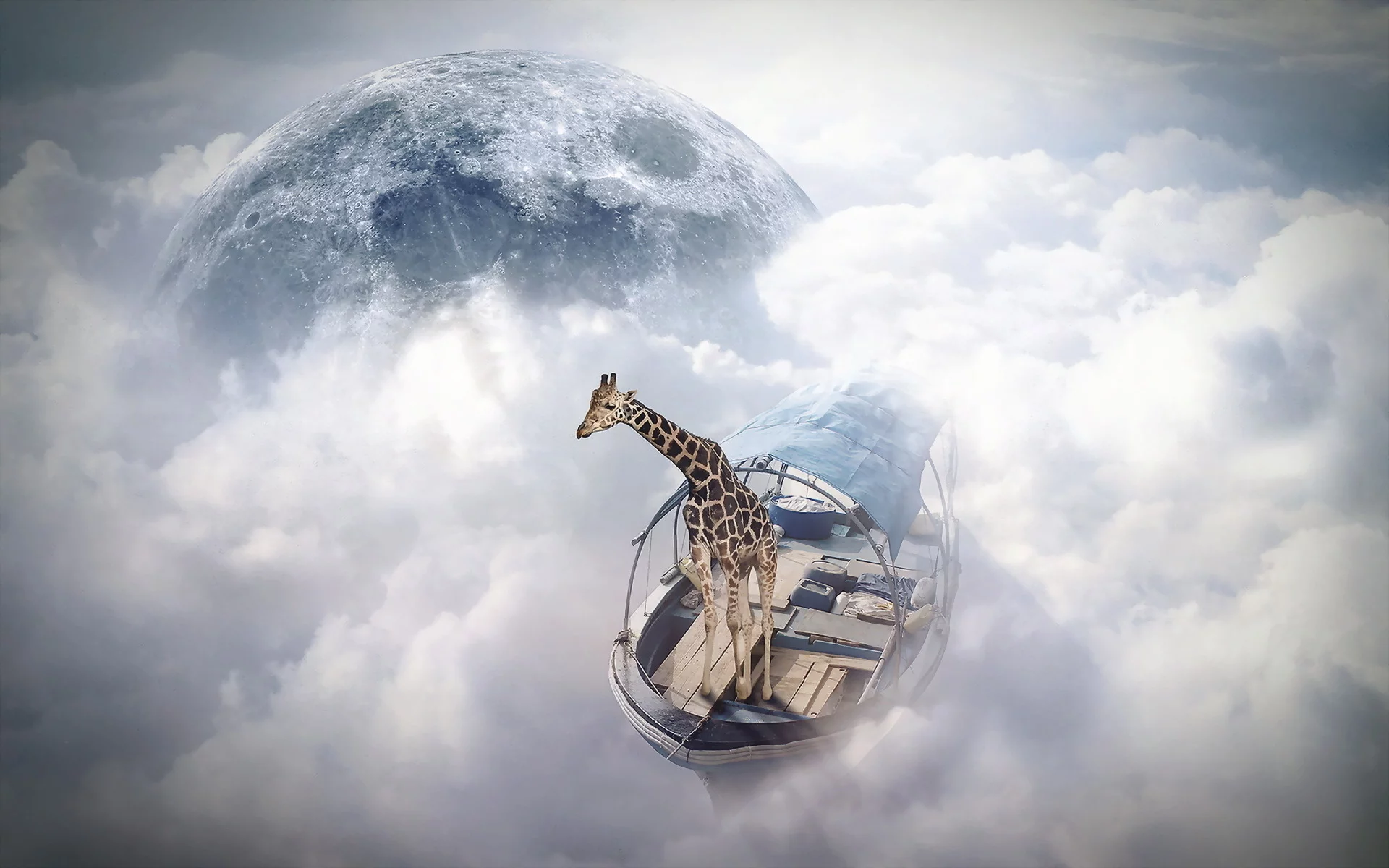 sky sailor, photomanipulation, finearts, жираф