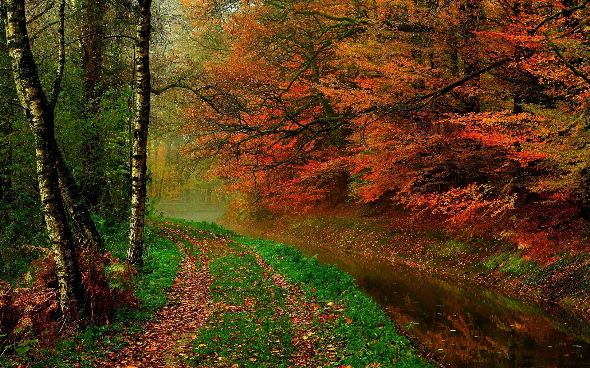 hdr, trees, river, autumn, forest, листья, leaves, walk, nature, water, деревья