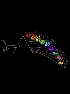 black, пародия pink floyd, коты, the dark side of the 9 lives, призма