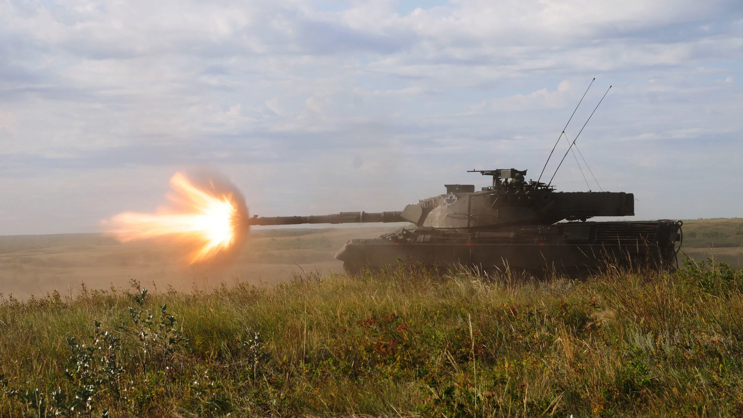 канадский, трава, боевой, огонь, leopard-c2, танк