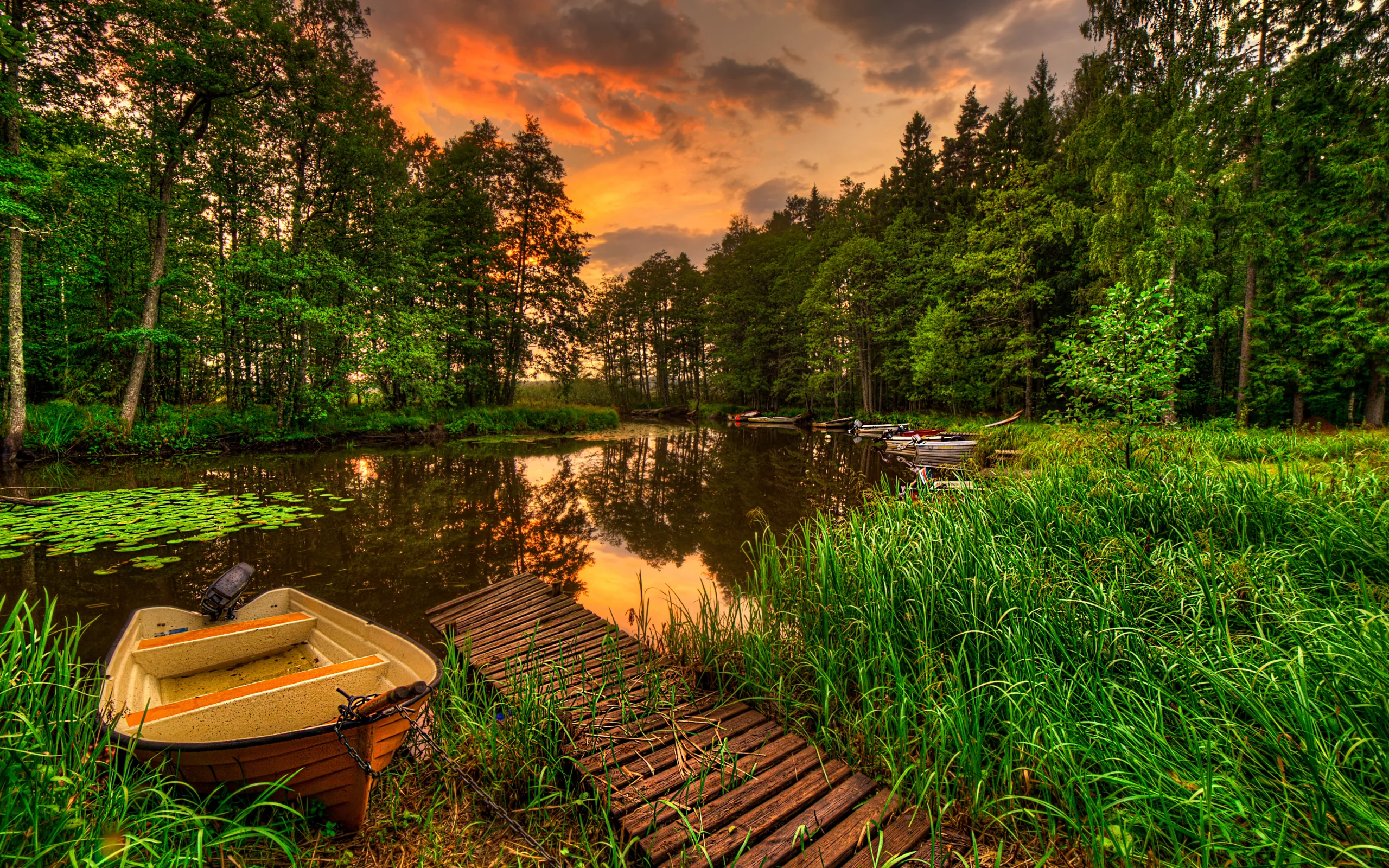 reflection, landscape, water, view, sky, lake, sunset, forest, пейзаж, scenery, grass, natura