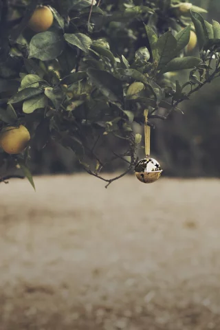 orange grove, christmas, bell