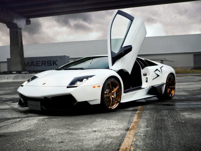 белая, murcielago, lamborghini