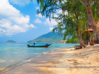 trees, boat , beautiful, beach koh tao , landscape, tropical, sand, sky, thailand, nature, sea