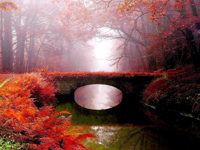 туман, река, парк, мост, осень