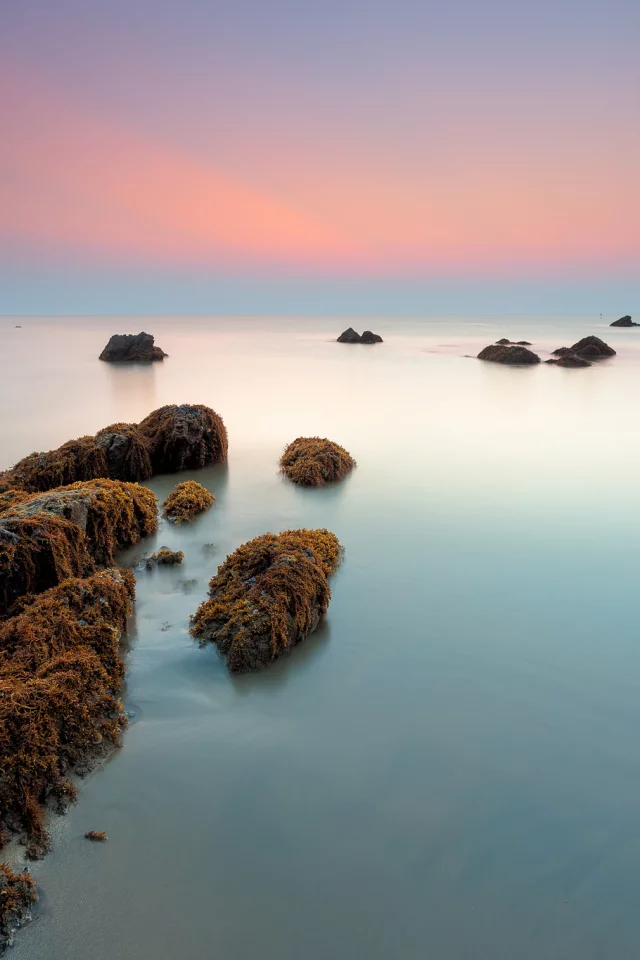 камни, водоросли, утро, море, рассвет