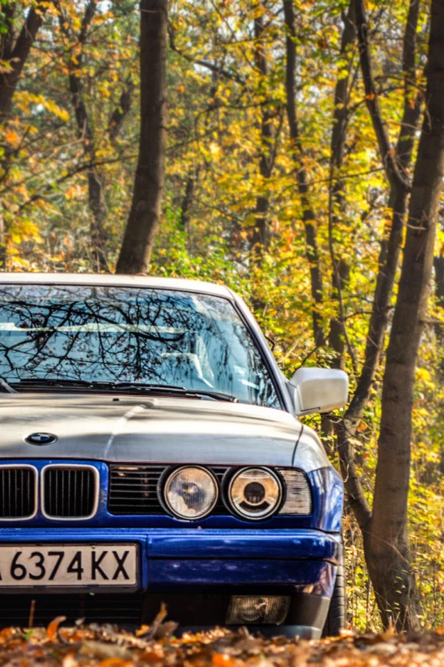 осень, e34, бмв, bmw, тюнинг, 525, классика, листья, фары