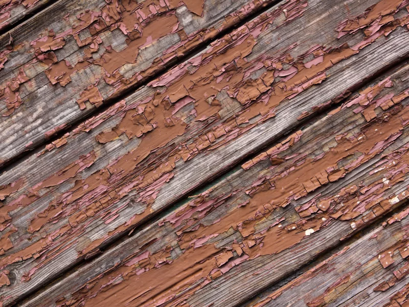wood, lack of maintenance, painting