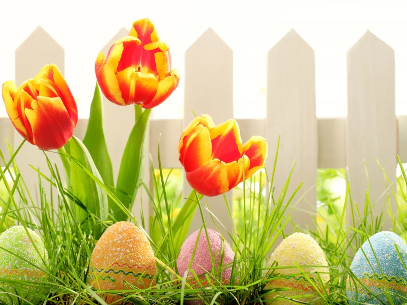 трава, пасха, цветы, праздник, easter, природа, весна