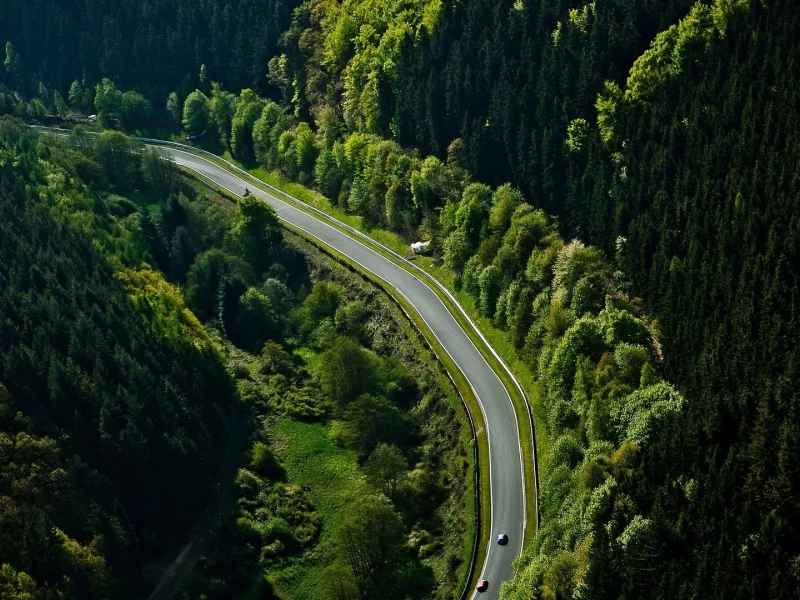 лес, трасса, автомобили, nurburgring