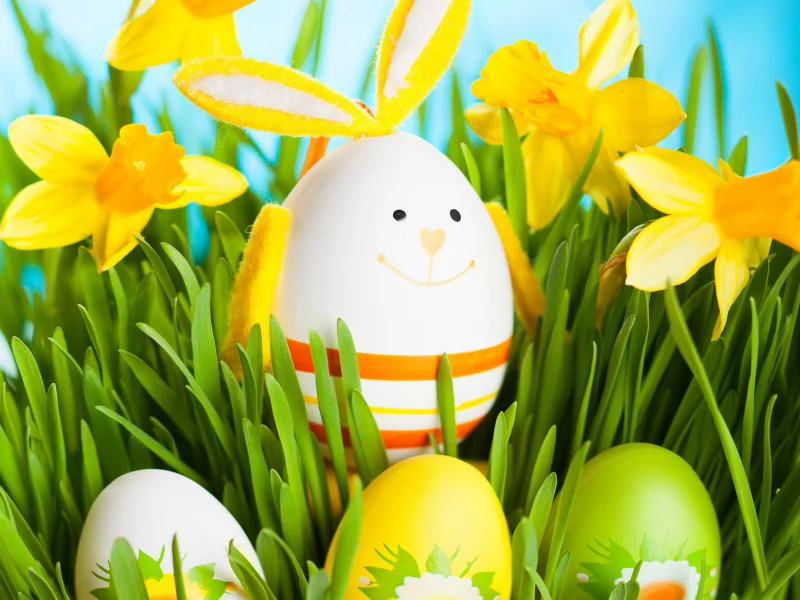 flowers, весна, spring, daffodils, пасха, bunny, easter, grass, eggs, кролик
