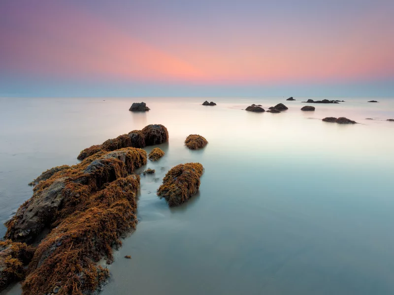 камни, водоросли, утро, море, рассвет