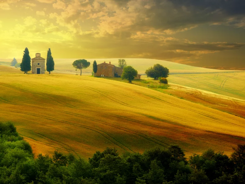 nature, countryside, sunset , italy , trees, summer, sky, landscape, tuscany , beautiful field