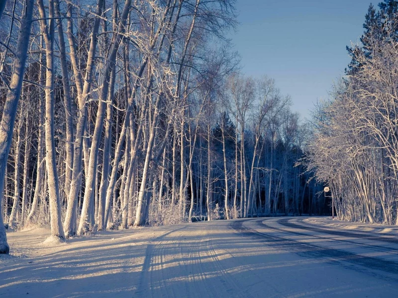 холод, снег, природа, зима, деревья, winter, тень, дорога