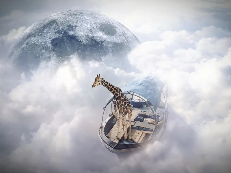 sky sailor, photomanipulation, finearts, жираф