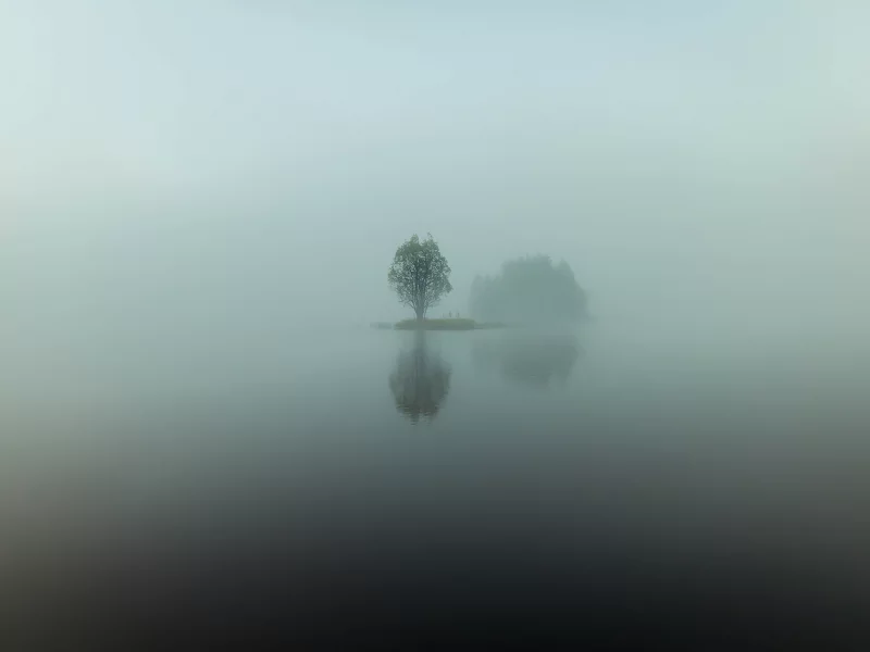 озеро, туман, вода, остров, отражения, дерево, утро