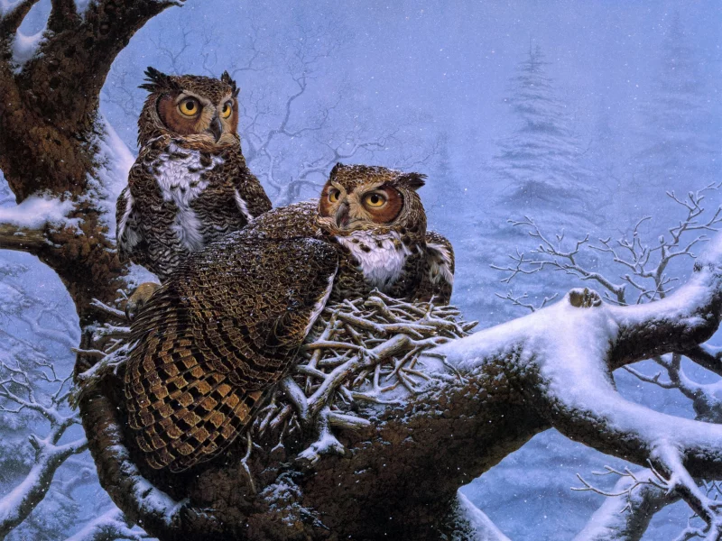 lee kromschroeder, february nest, живопись, совы, дерево, гнездо, зима