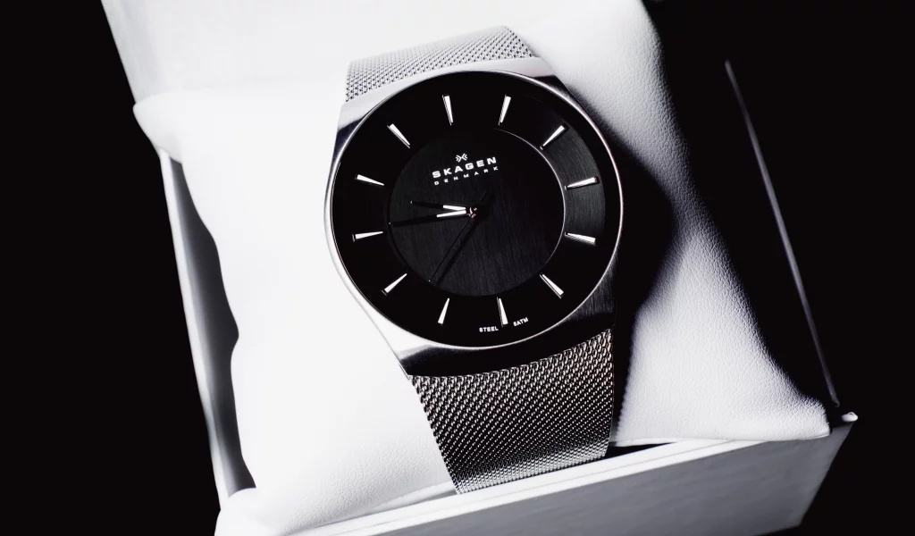 watch, часы, skagen