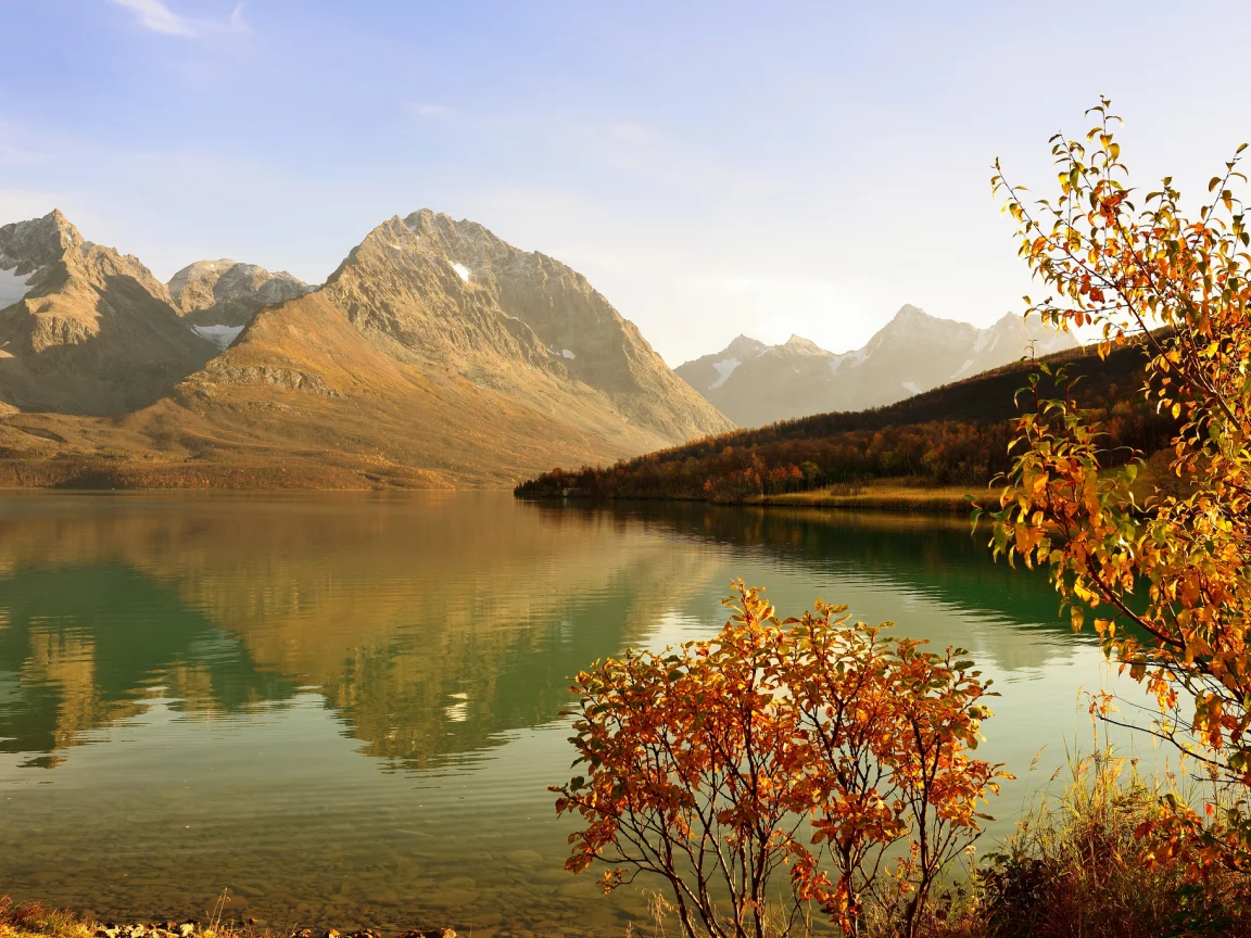 горы, осень, дерево, кустарник, лес, залив
