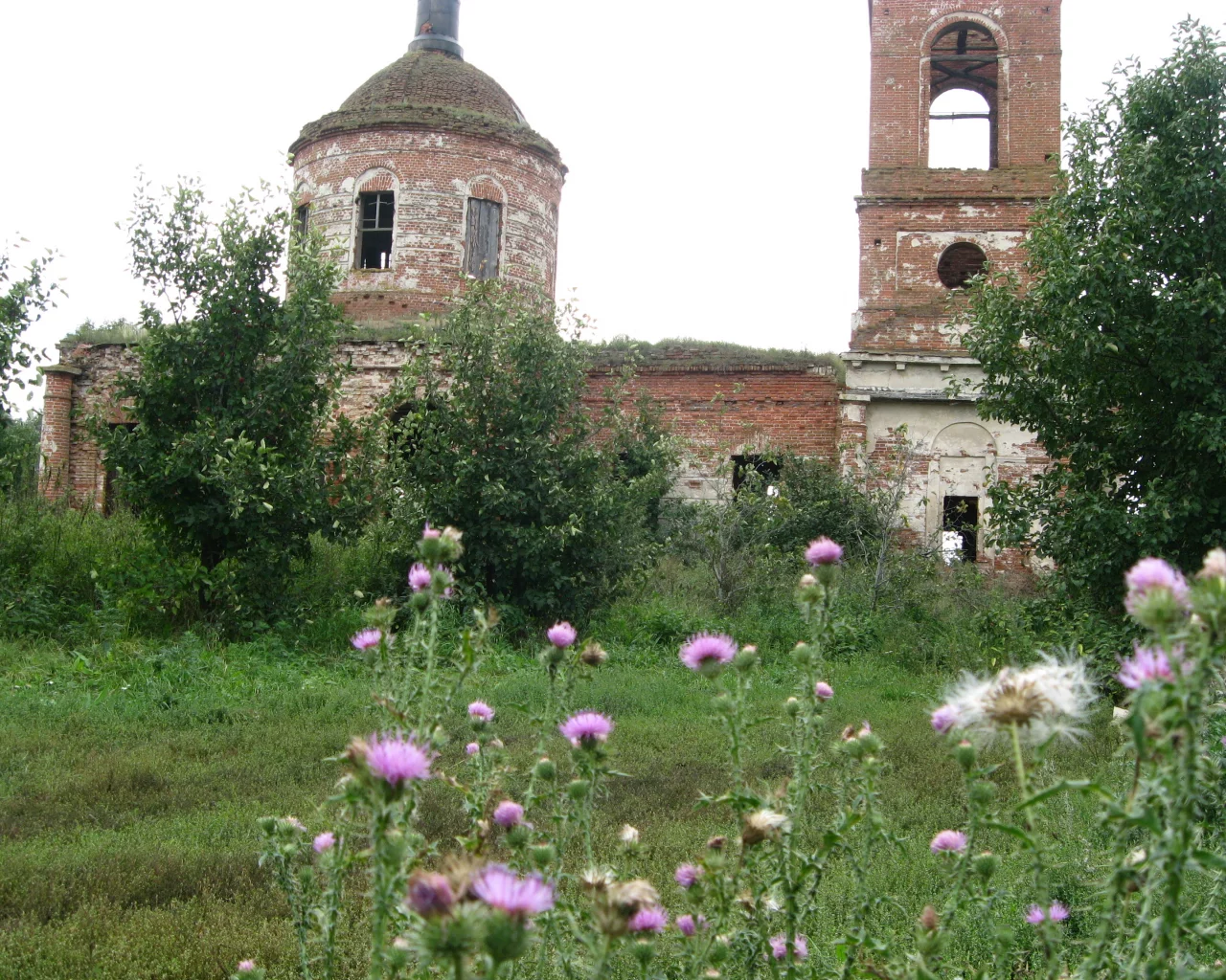 церковь, лето