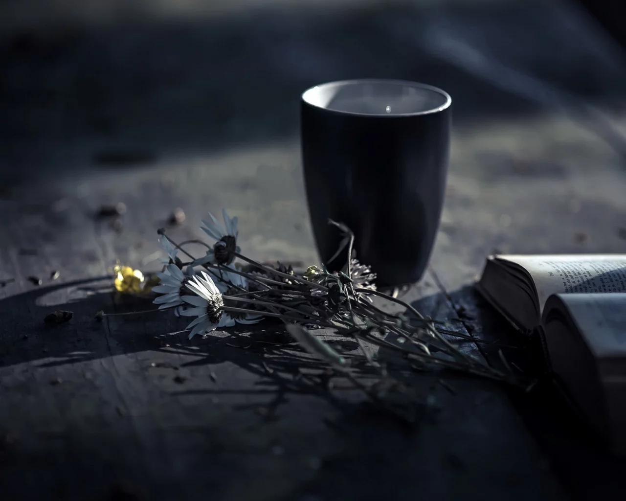 книга, цветы, кружка