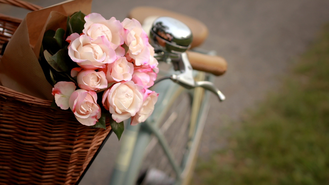 пакет, розы, корзина, белые, велосипед, цветы, розовые