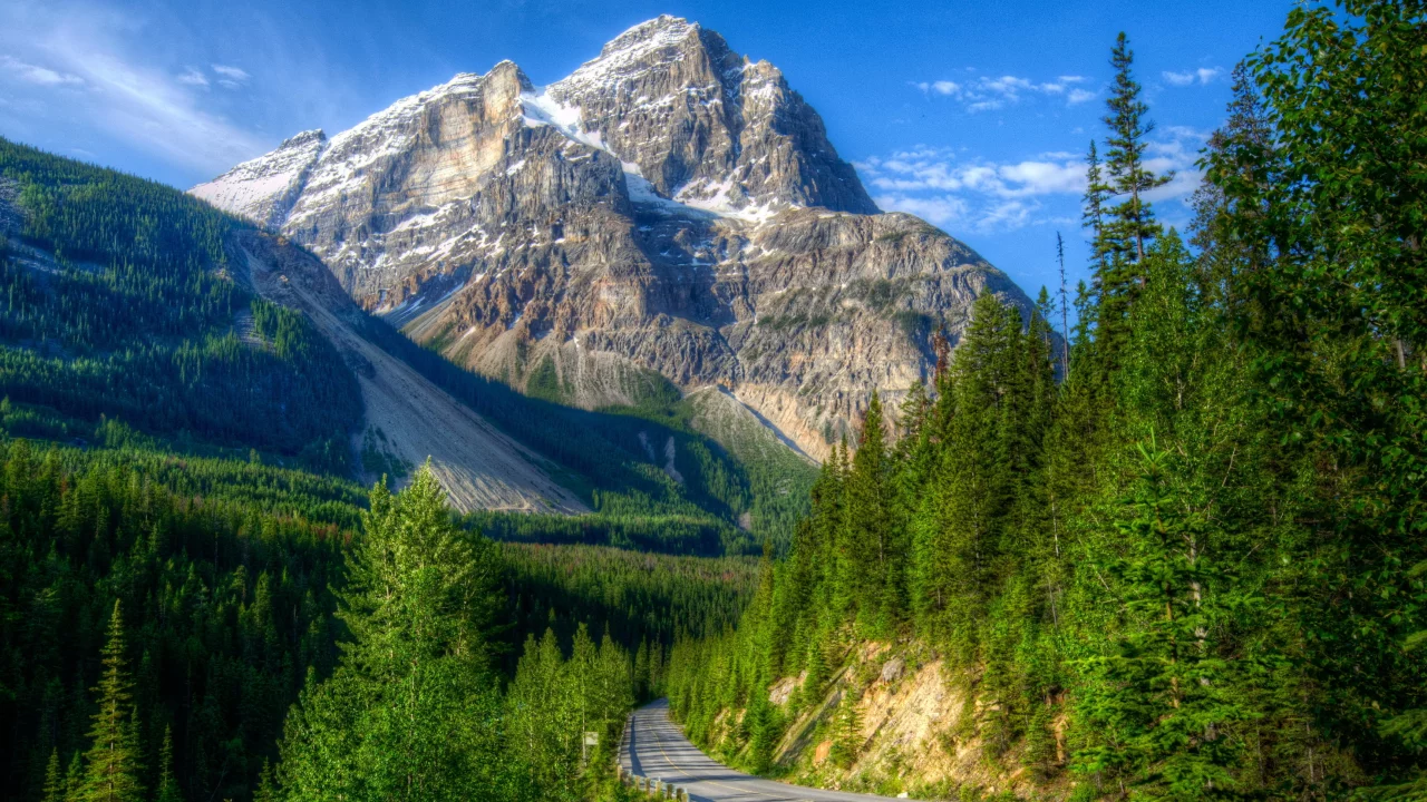 канада, пейзаж, yoho, склон, горы, парк, дорога, лес, hdr