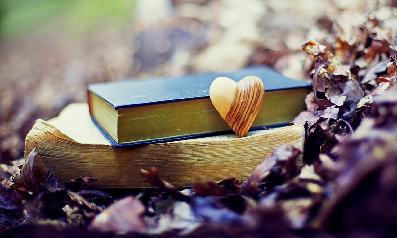 leaves, осень, heart, fall, nature, природа, autumn, park, old, forest, love, books