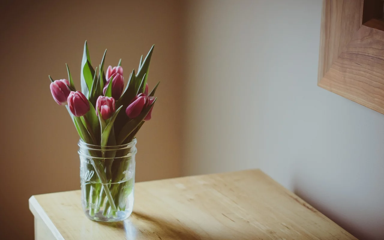 цветочек, тюльпаны, цветочки, flower, фиолетовые, цветы