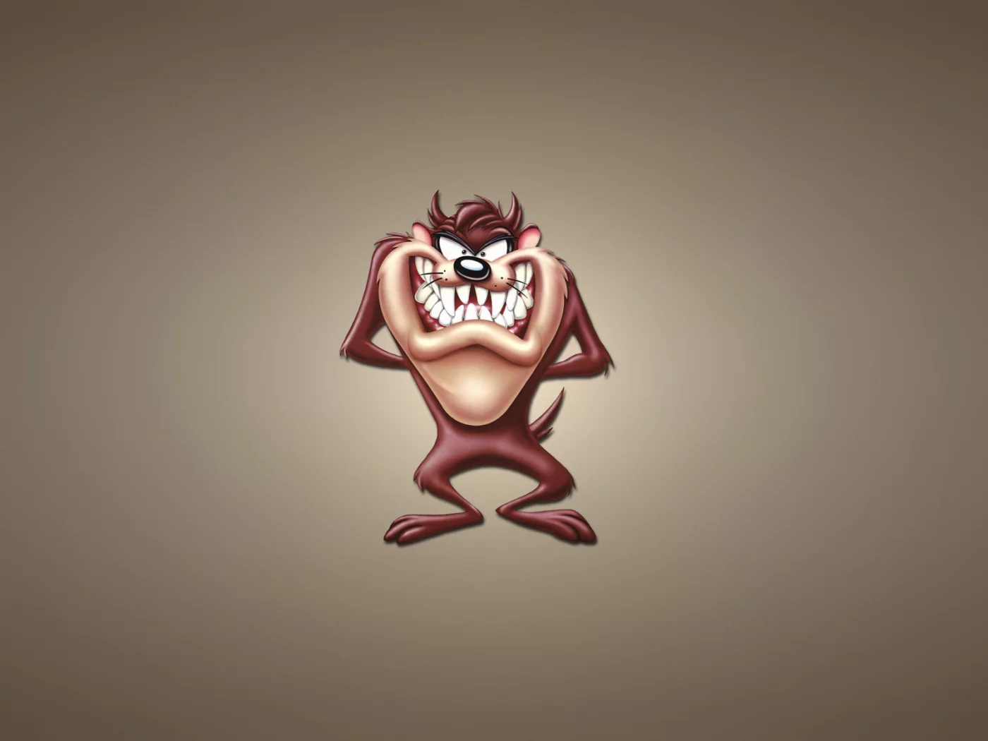 tasmanian devil, луни тюнз, looney tunes, taz, весёлые мелодии