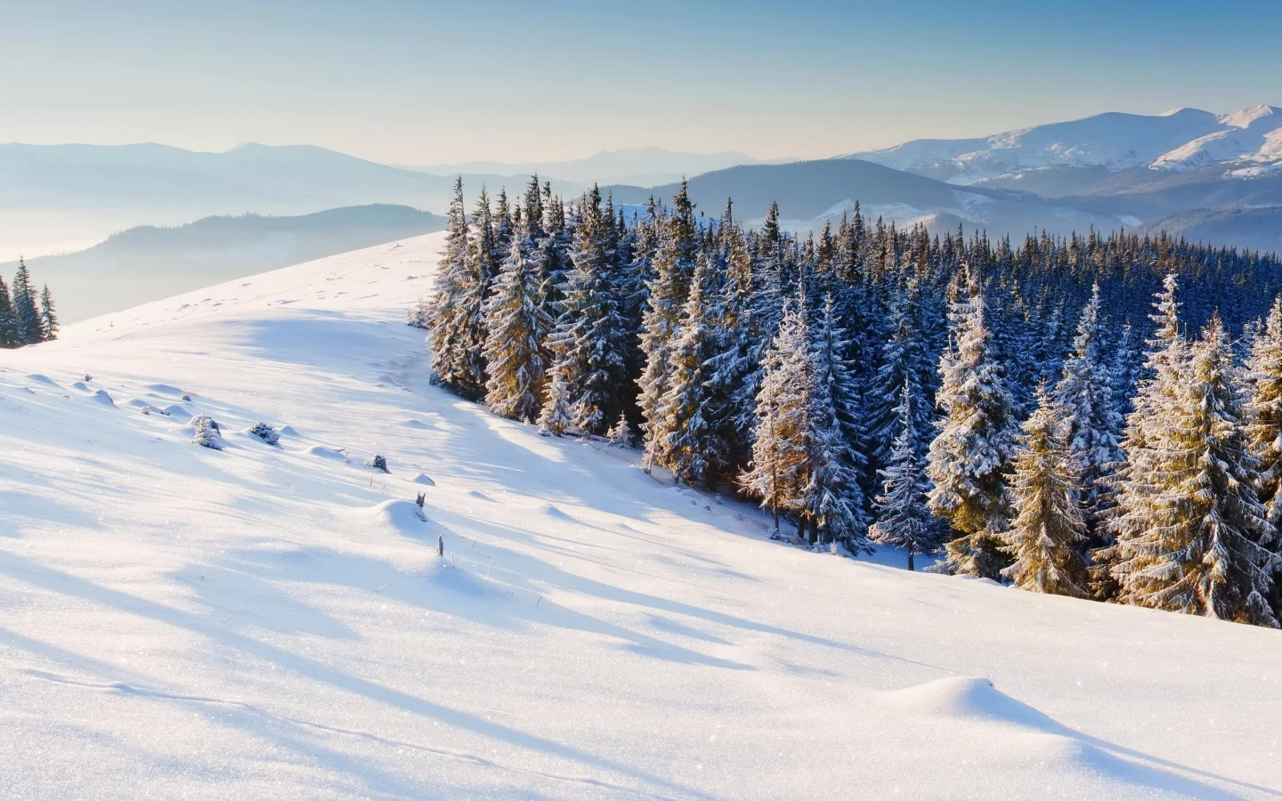 горы, winter, природа, зима, snow, деревья, снег, елки, фон