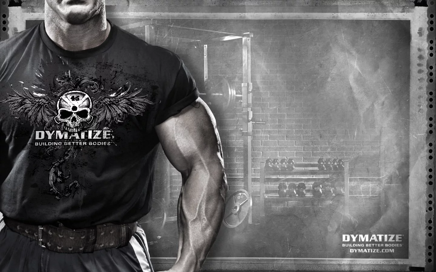 andy haman, мышцы, dymatize, спорт, спортпит