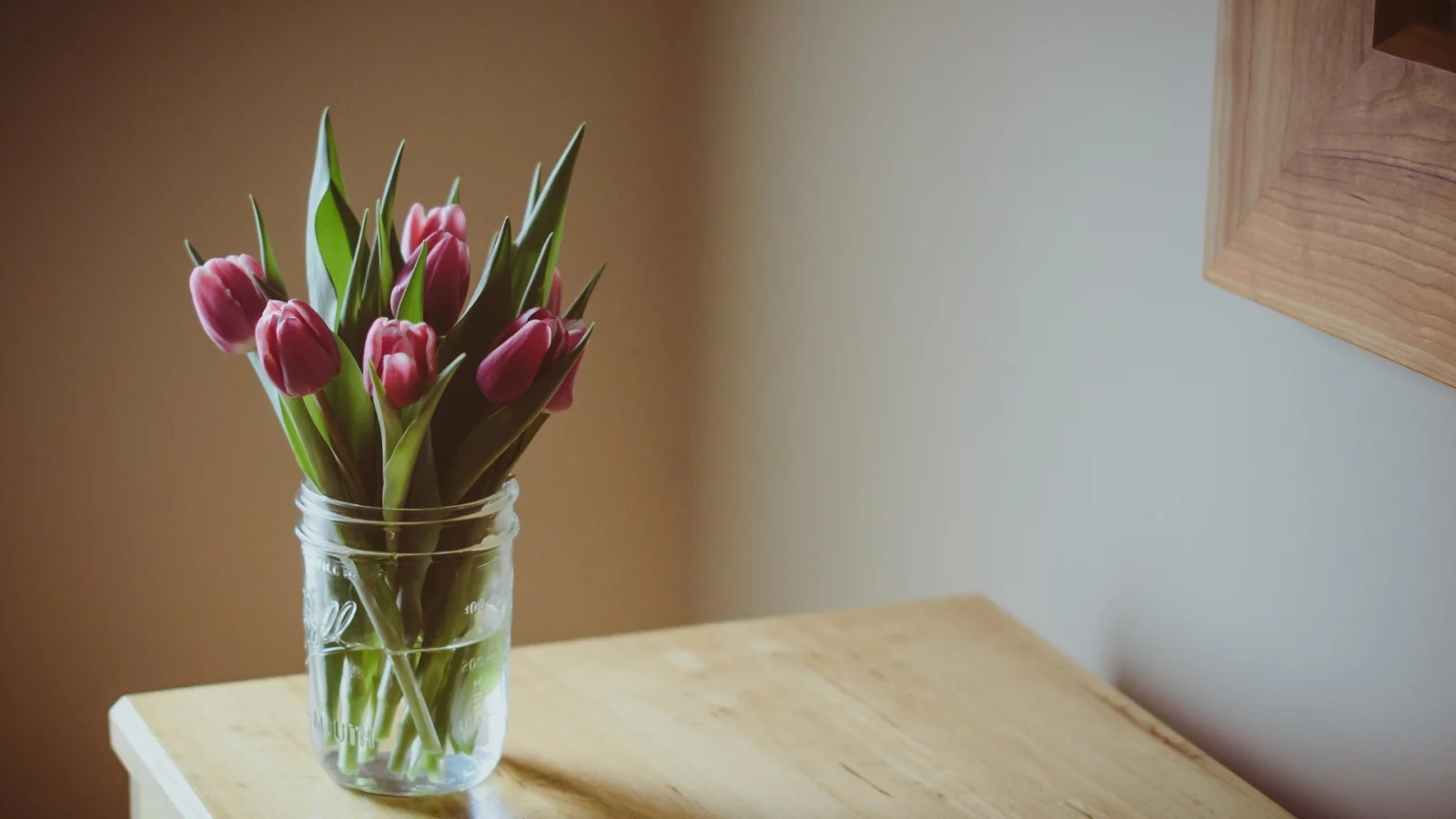 цветочек, тюльпаны, цветочки, flower, фиолетовые, цветы
