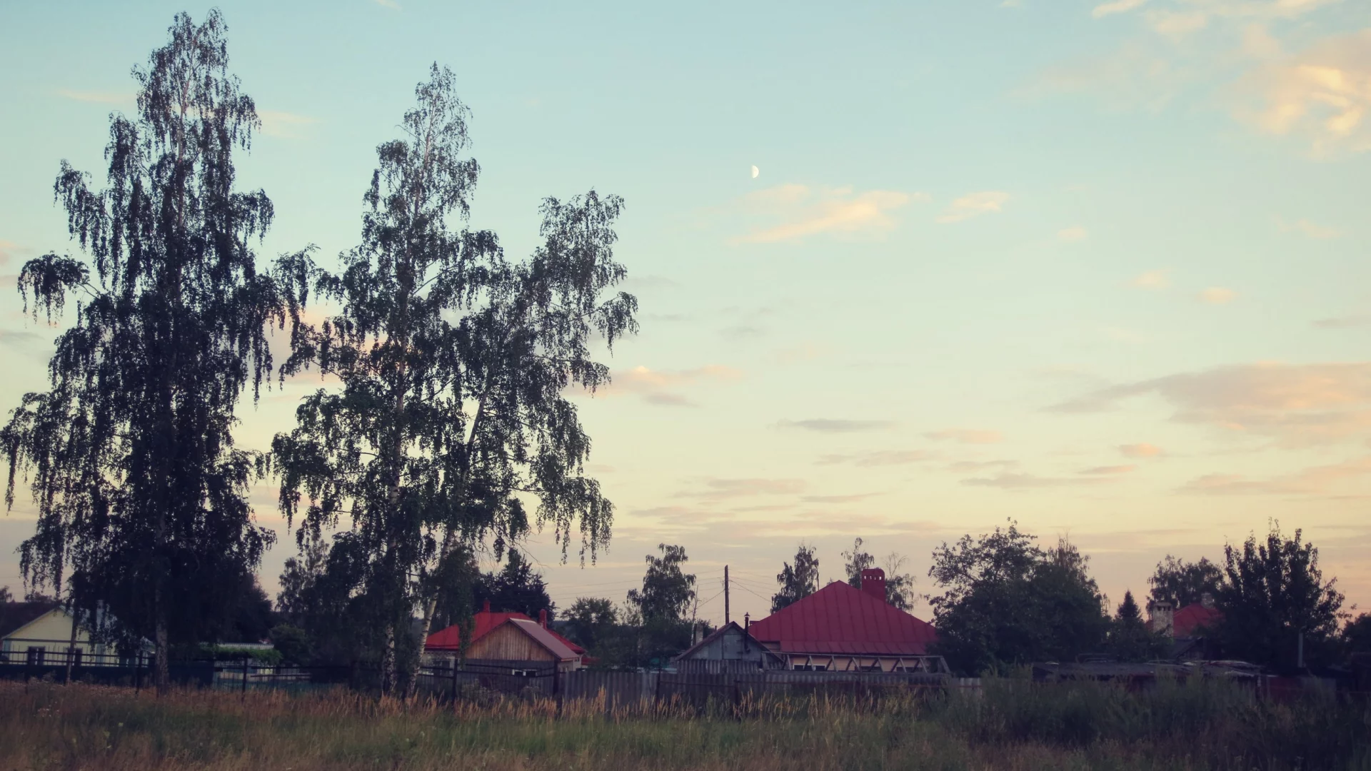Поле, вечер
