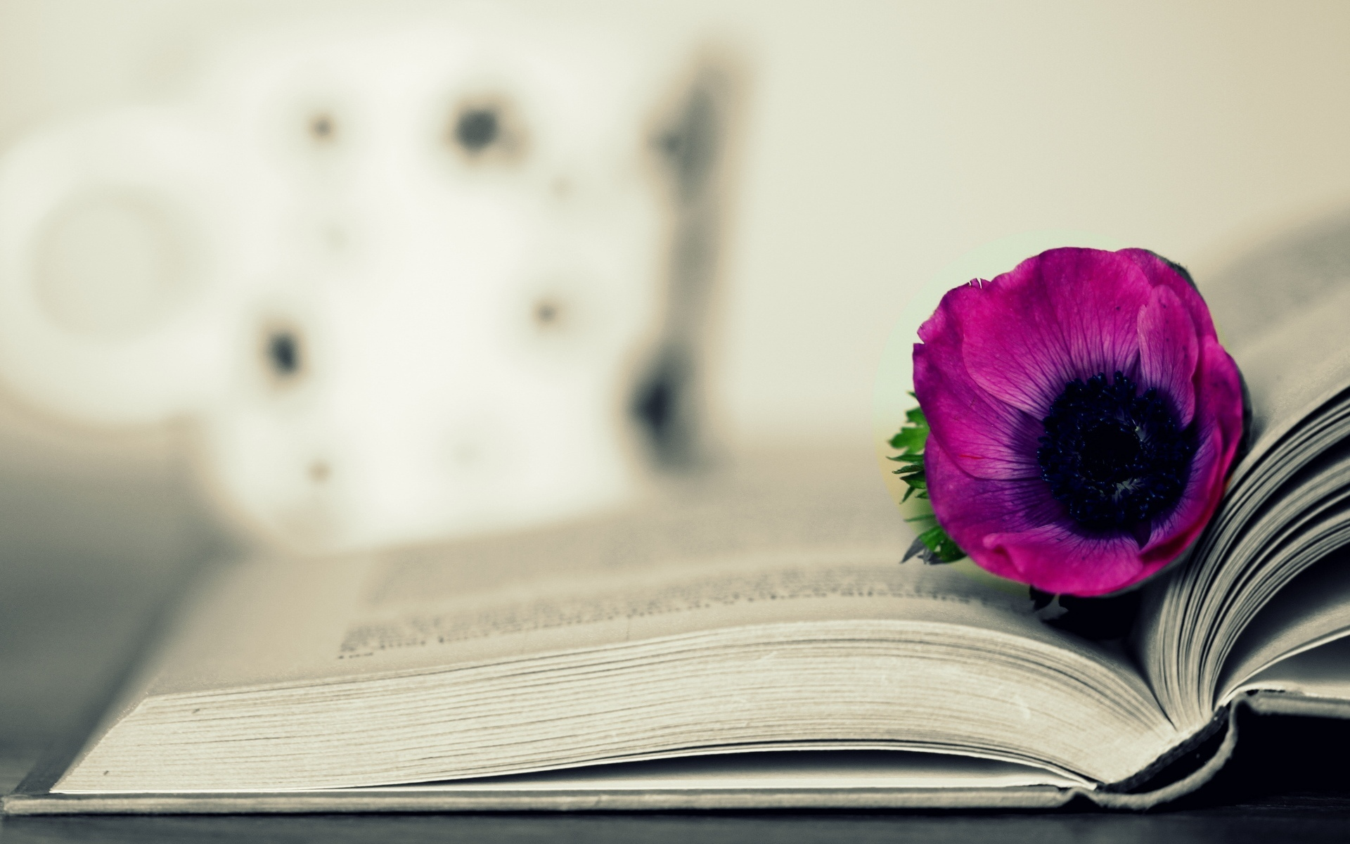 Книга цвет жизни. Книга с цветами. Красивый фон с книгами. Книга цветы. Фон для цитат.