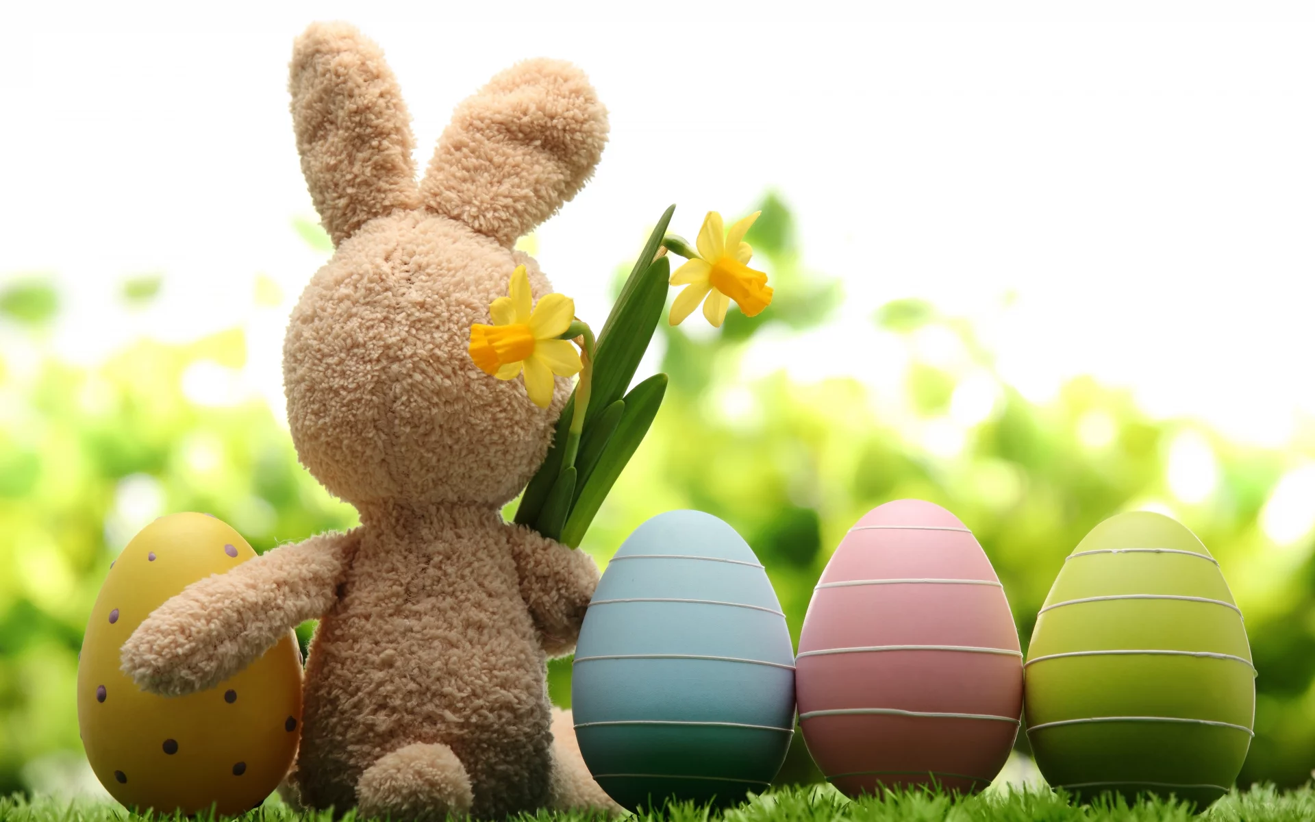 весна, трава, природа, цветы, пасха, easter, праздник