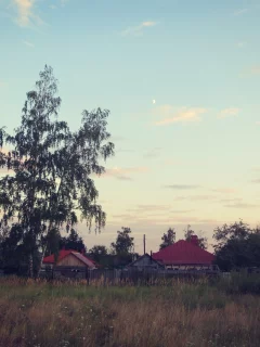 Поле, вечер
