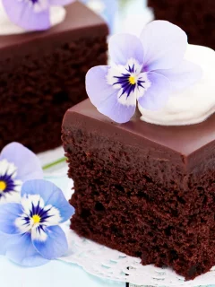 торт, цветы, шоколад, десерт, фиолетовый, пирожное