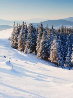 горы, winter, природа, зима, snow, деревья, снег, елки, фон