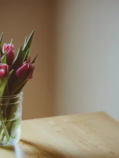 цветочек, тюльпаны, цветочки, flower, фиолетовые, цветы
