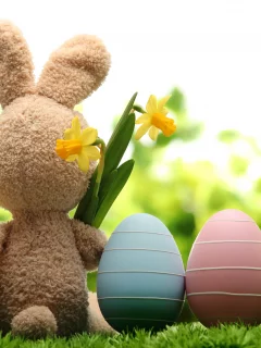 весна, трава, природа, цветы, пасха, easter, праздник